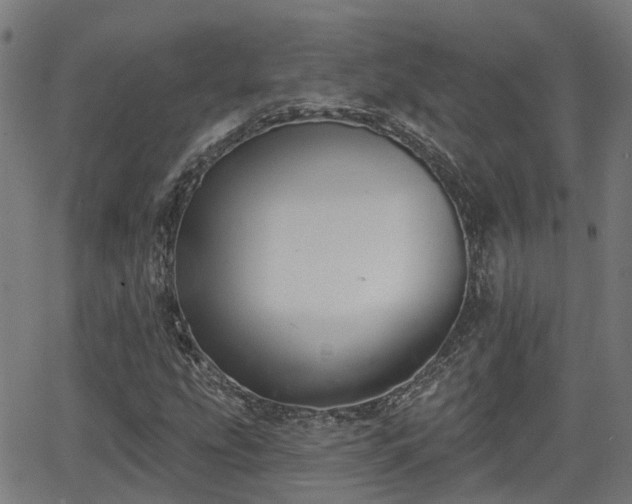 X0000062911207200601181211