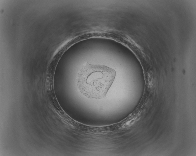 X0000062911208200601181211