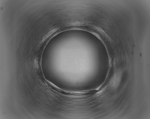 X0000062911209200601181211