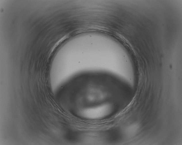 X0000062911210200601181211