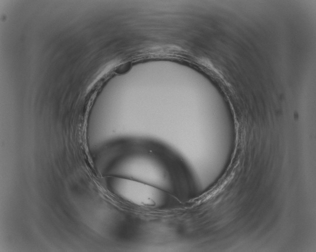 X0000062911211200601181211