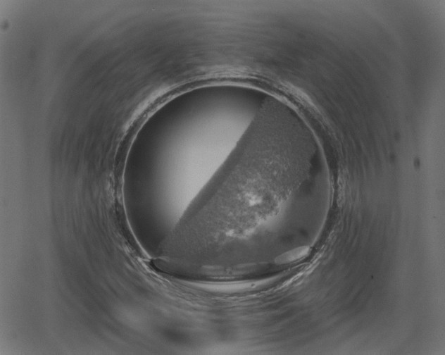 X0000062911212200601181211