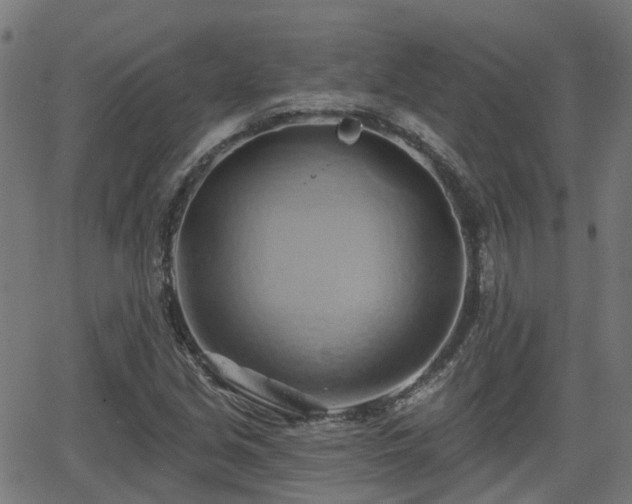 X0000062911213200601181211