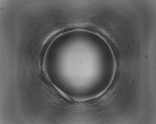 X0000062911214200601181211