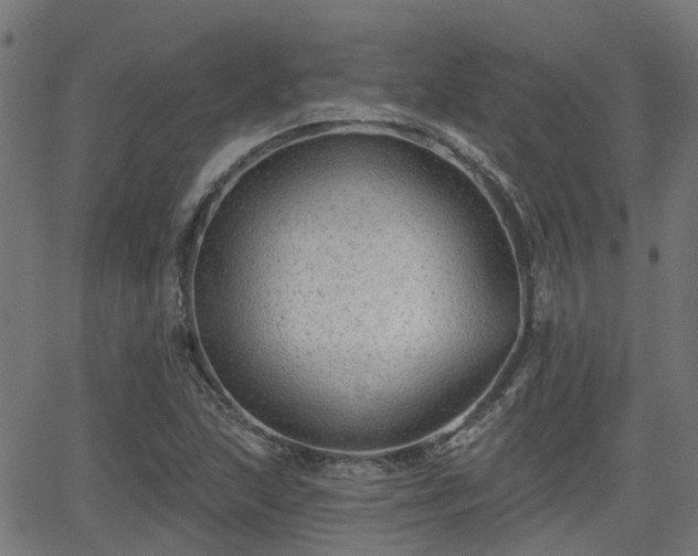 X0000062911215200601181211