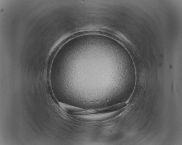 X0000062911216200601181211