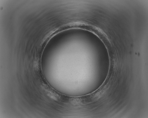 X0000062911217200601181211