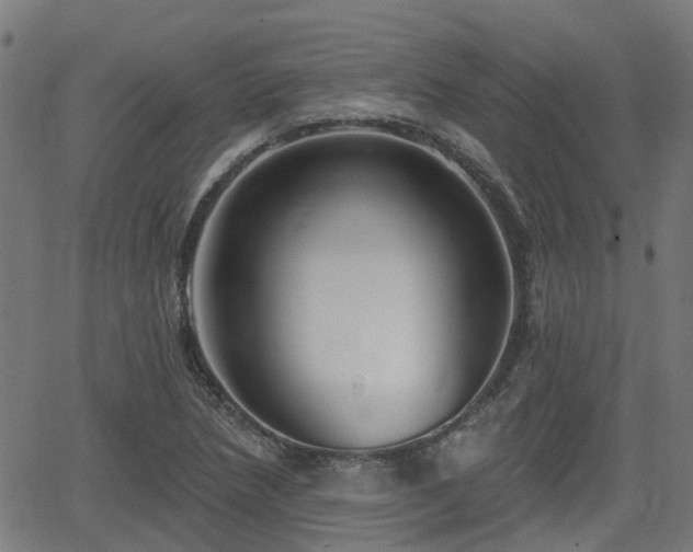 X0000062911218200601181211