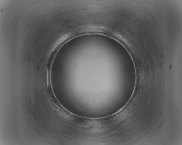 X0000062911219200601181211