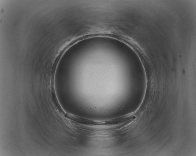 X0000062911220200601181211