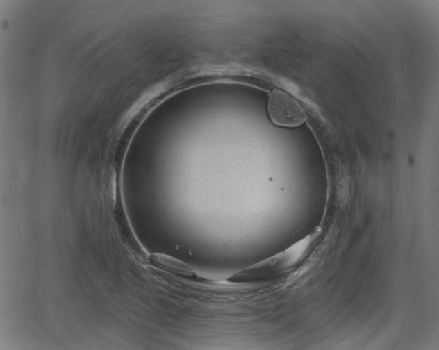 X0000062911221200601181211