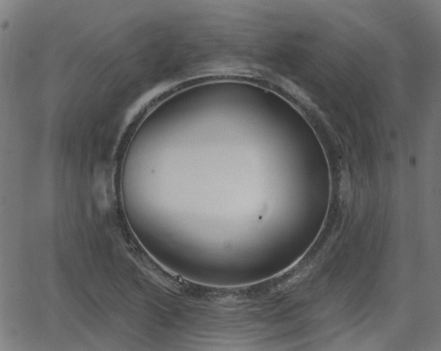 X0000062911222200601181211