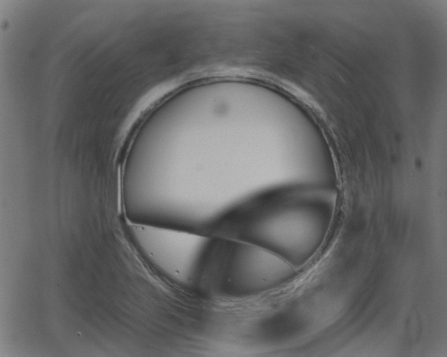 X0000062911223200601181211