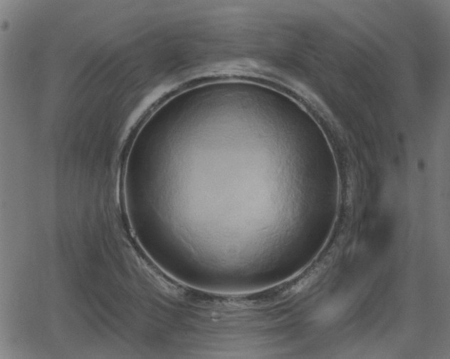 X0000062911224200601181211