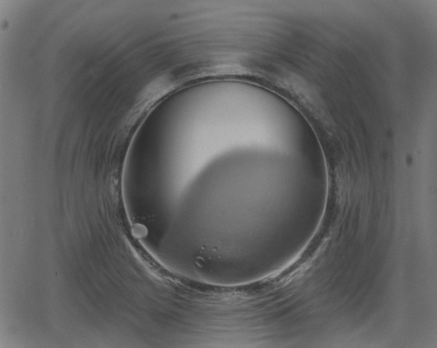 X0000062911225200601181211