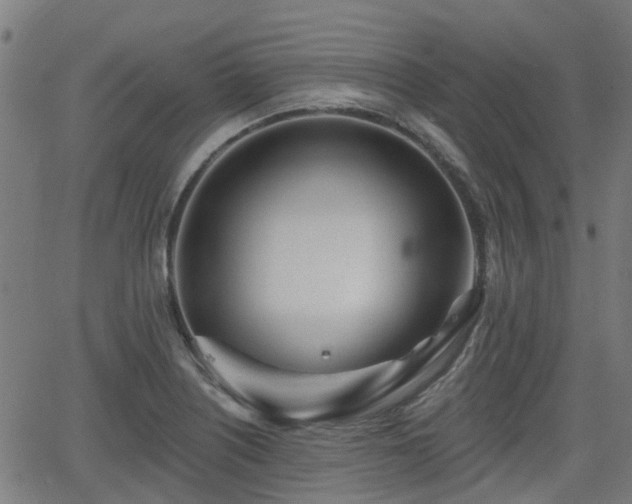 X0000062911226200601181211