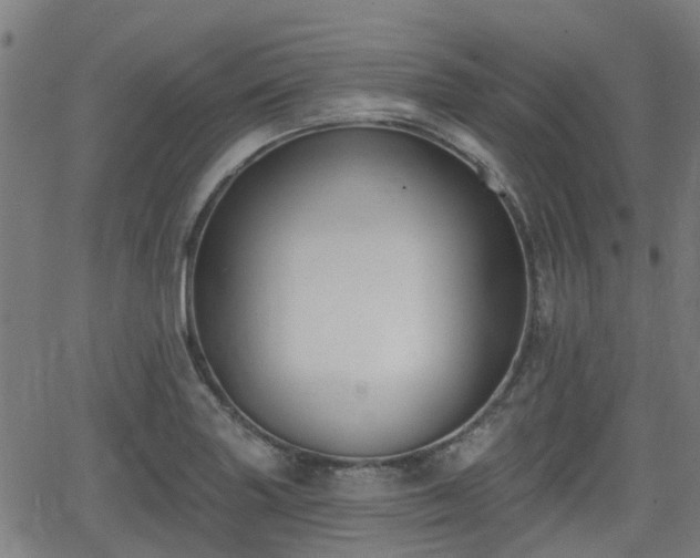 X0000062911227200601181211