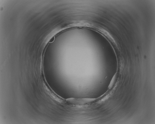 X0000062911228200601181211