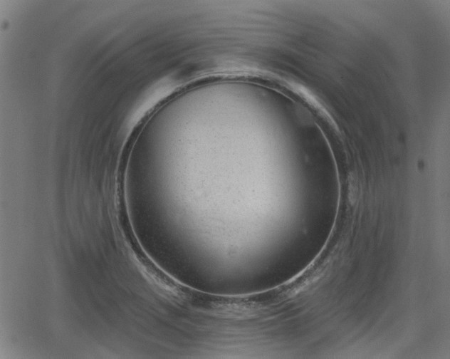 X0000062911229200601181211