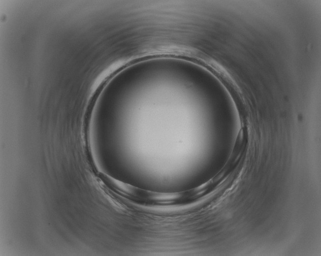 X0000062911230200601181211