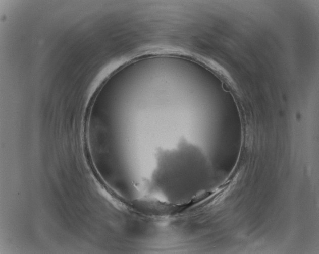 X0000062911231200601181211