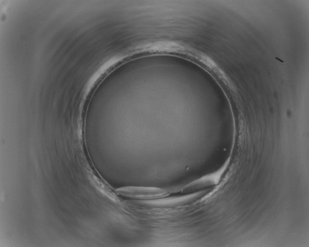 X0000062911232200601181211