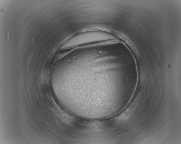 X0000062911233200601181211