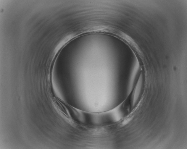 X0000062911234200601181211