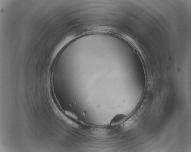 X0000062911235200601181211