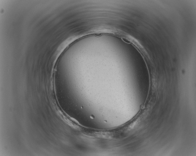 X0000062911236200601181211