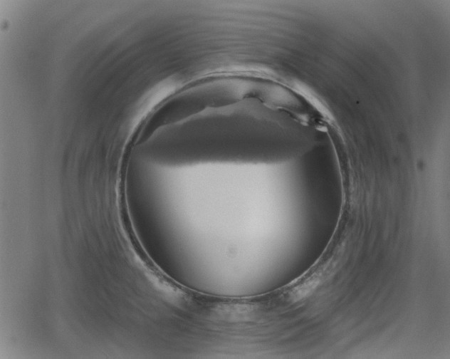 X0000062911237200601181211