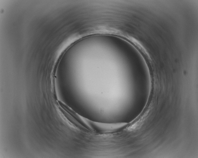 X0000062911238200601181211