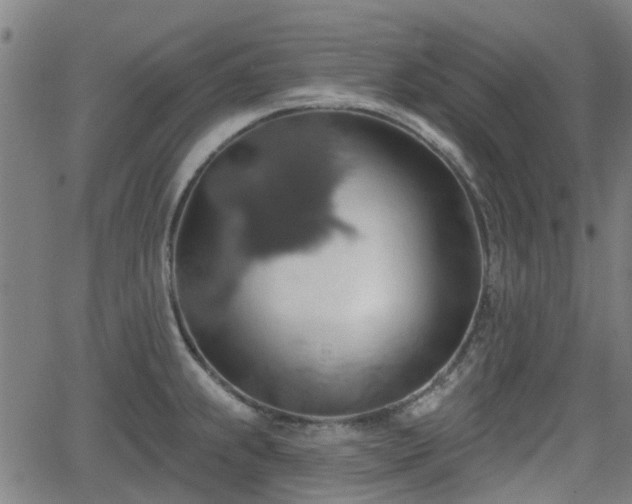 X0000062911239200601181211