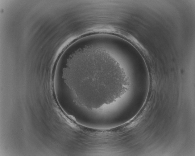 X0000062911240200601181211