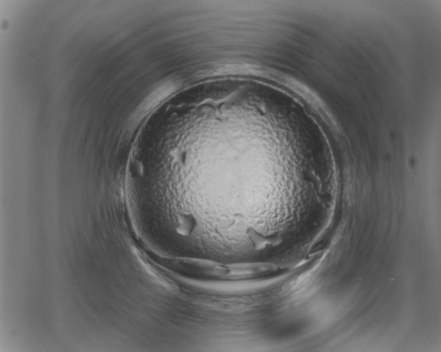 X0000062911241200601181211