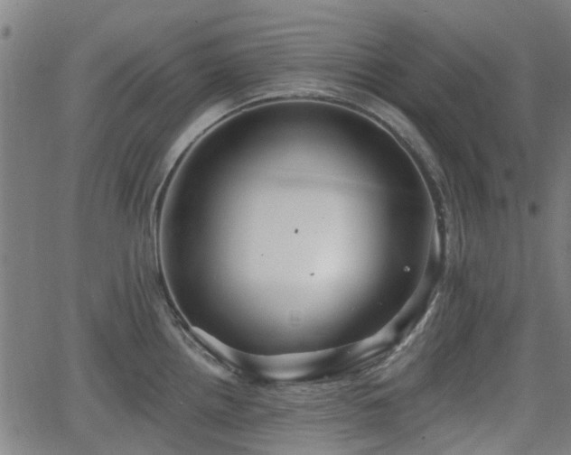 X0000062911242200601181211