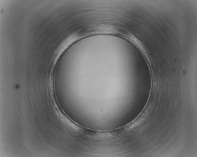 X0000062911243200601181211