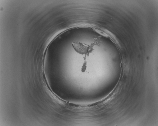 X0000062911244200601181211