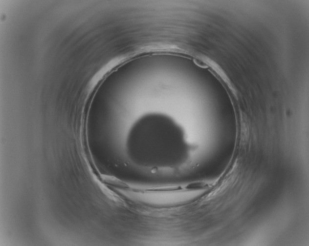 X0000062911245200601181211