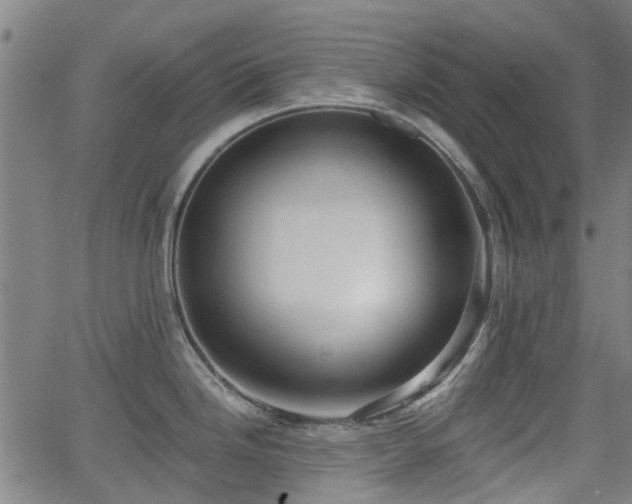 X0000062911246200601181211