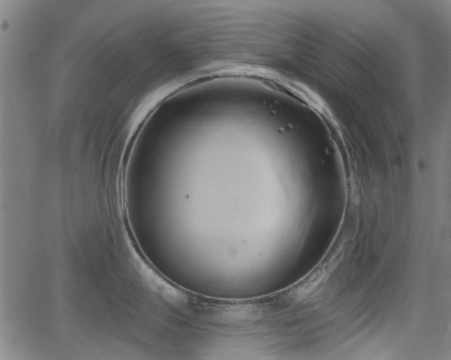 X0000062911247200601181211