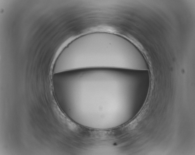 X0000062911248200601181211