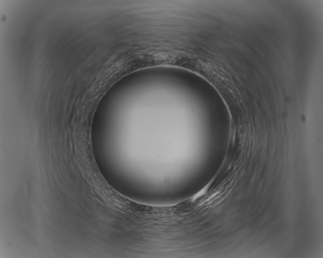 X0000062911249200601181210