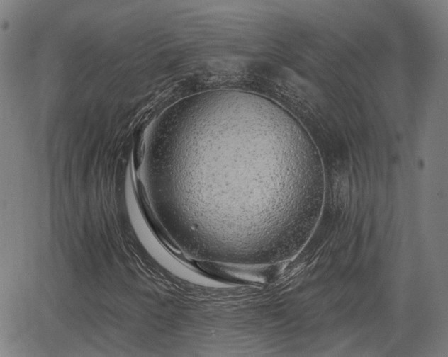 X0000062911250200601181210