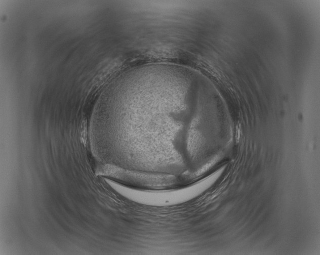 X0000062911251200601181210