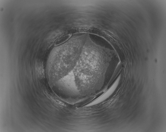 X0000062911252200601181210