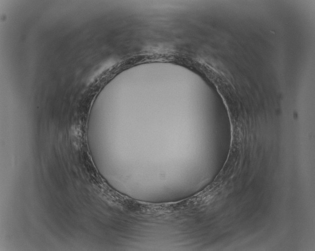 X0000062911254200601181210