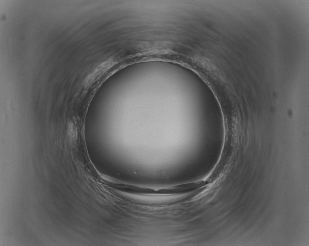 X0000062911257200601181210