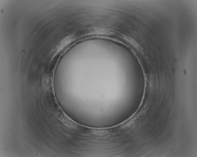 X0000062911258200601181210