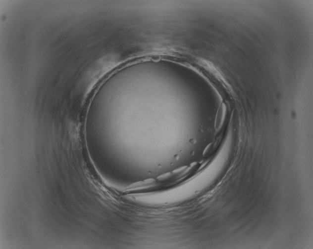 X0000062911260200601181210